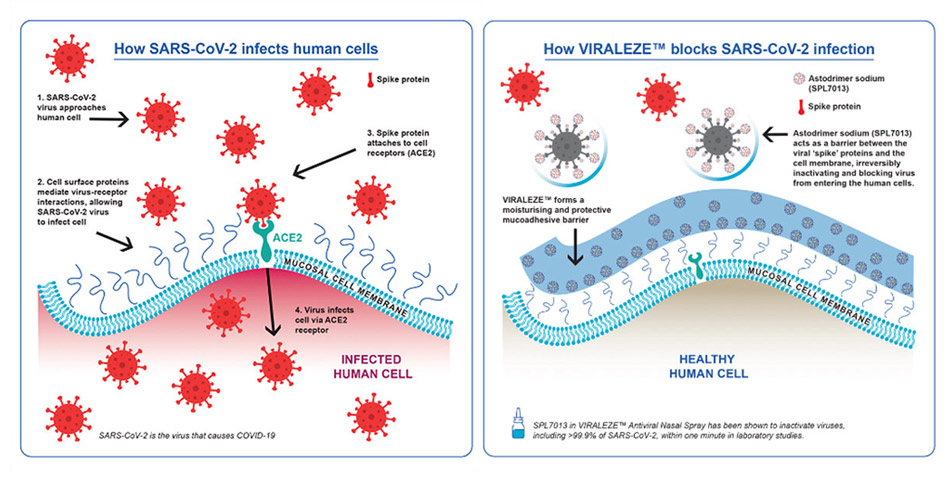 Cơ chế hoạt động của xịt mũi Viraleze giúp ngăn ngừa sự xâm nhập của virus